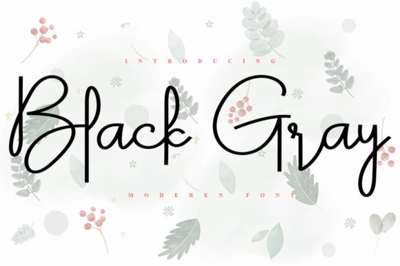 Black Gray: The Delicate Script Font for Modern Campaigns