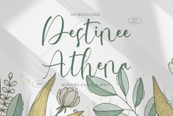 Destinee Athena Font for Small Business Branding